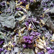 Image de tisane de plantes